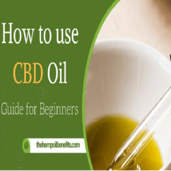 Several Ways To Take Hemp Oil