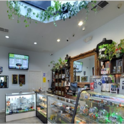 Things to Look For in a Great Los Angeles Dispensary For Marijuana