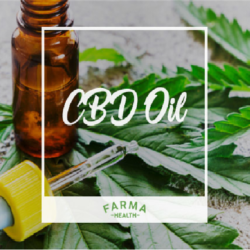 All That You Need to Know About CBD Powder