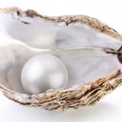 Pearls are Used as Medicine to Heal Several Health Disorders