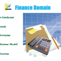 Overview Of The Domain Of Accounting