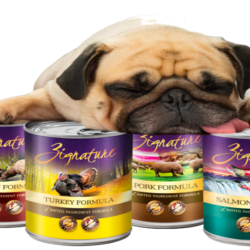 The Best Dog Food for Senior Dogs
