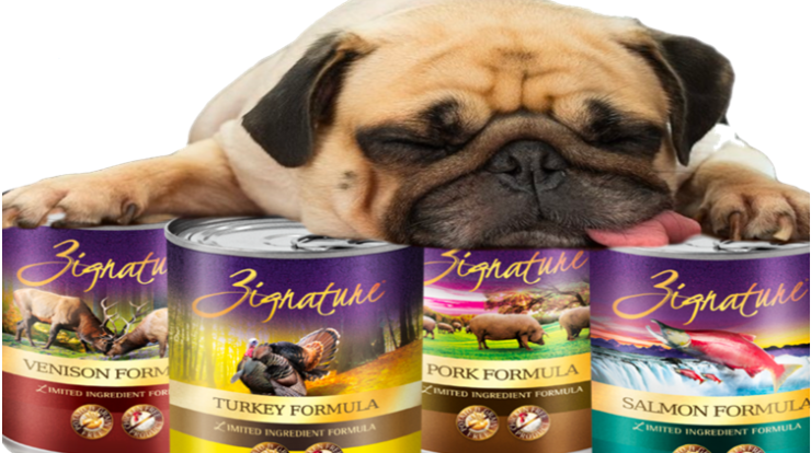 The Best Dog Food for Senior Dogs