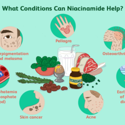 Some Potential Benefits of Nicotinamide Mononucleotide